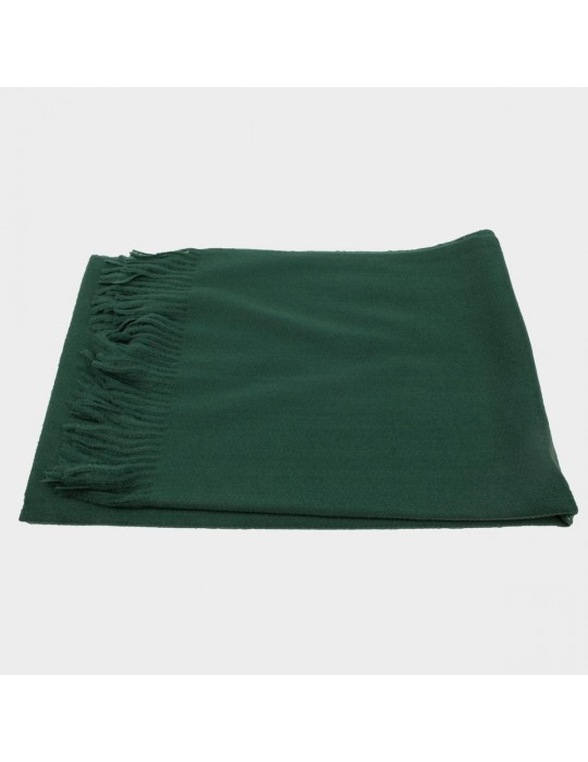 Echarpe viscose/laine verte 60 x 175 cm